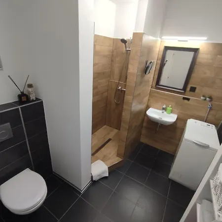 Apartment Lenka Borsice
